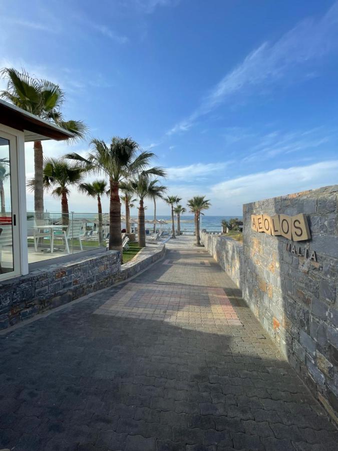 Aeolos Beach Resort Malia Extérieur photo